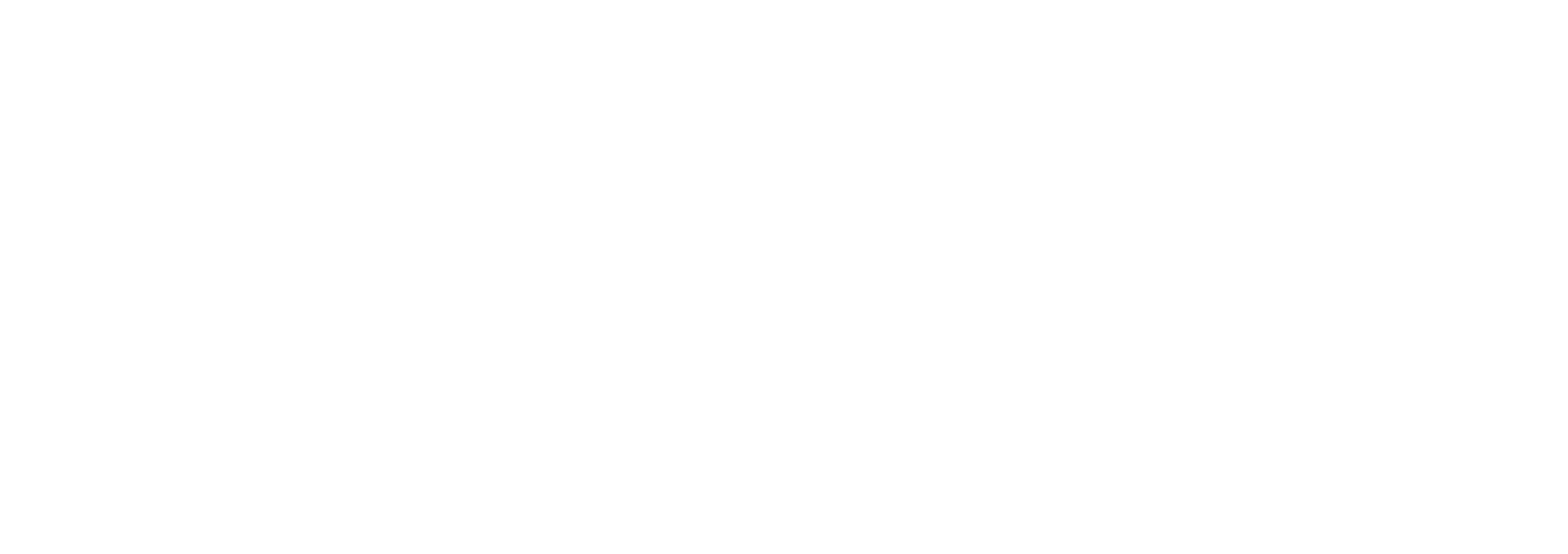nephosfinallogo white-01 copy
